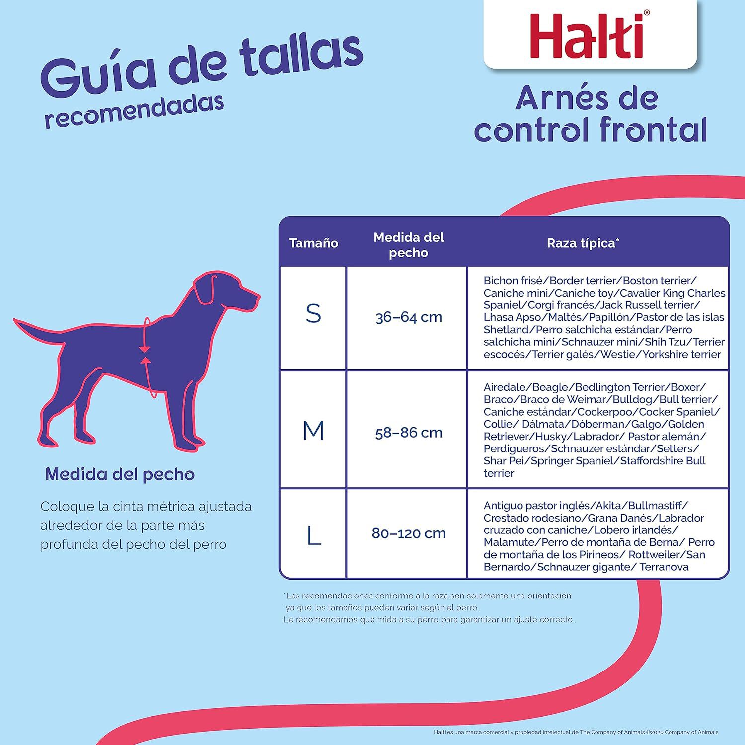 Halti Arn&eacute;s de Adiestramiento Antitirones para perros, , large indicador imagen numero 5